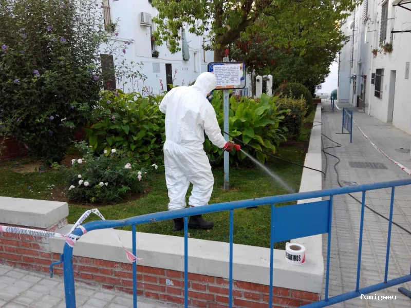 Gimasur - Control de Plagas y legionella en Andalucía Central