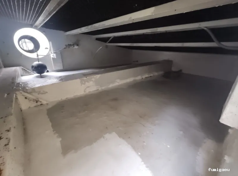 Gimasur - Control de Plagas y legionella en Andalucía Central