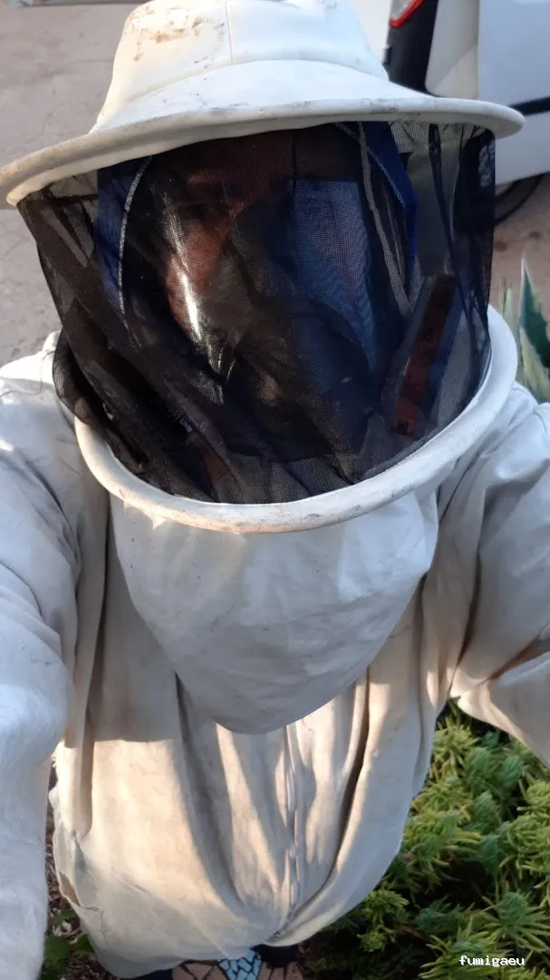 Gimasur - Control de Plagas y legionella en Andalucía Central