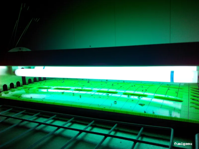 Gimasur - Control de Plagas y legionella en Andalucía Central