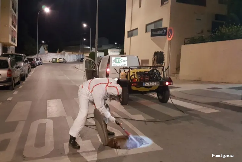 Gimasur - Control de Plagas y legionella en Andalucía Central