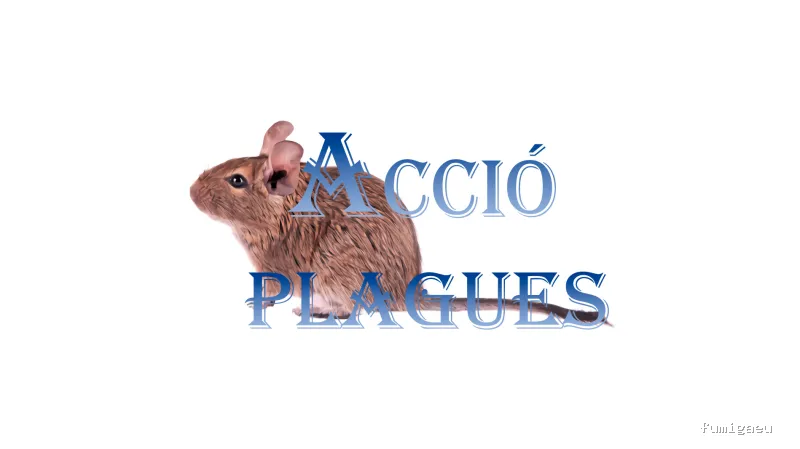 Acció Plagues