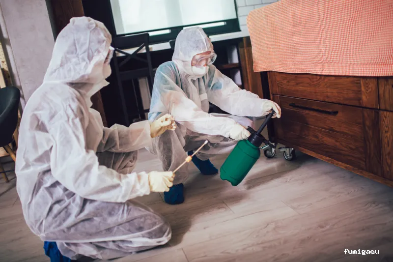 Comercial Campos S.L.