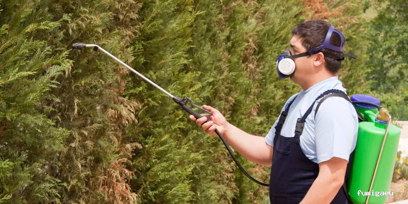 Comercial Campos S.L.