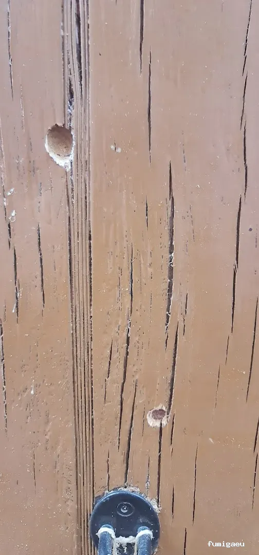 ISLAPLAGAS, salud e higiene ambiental