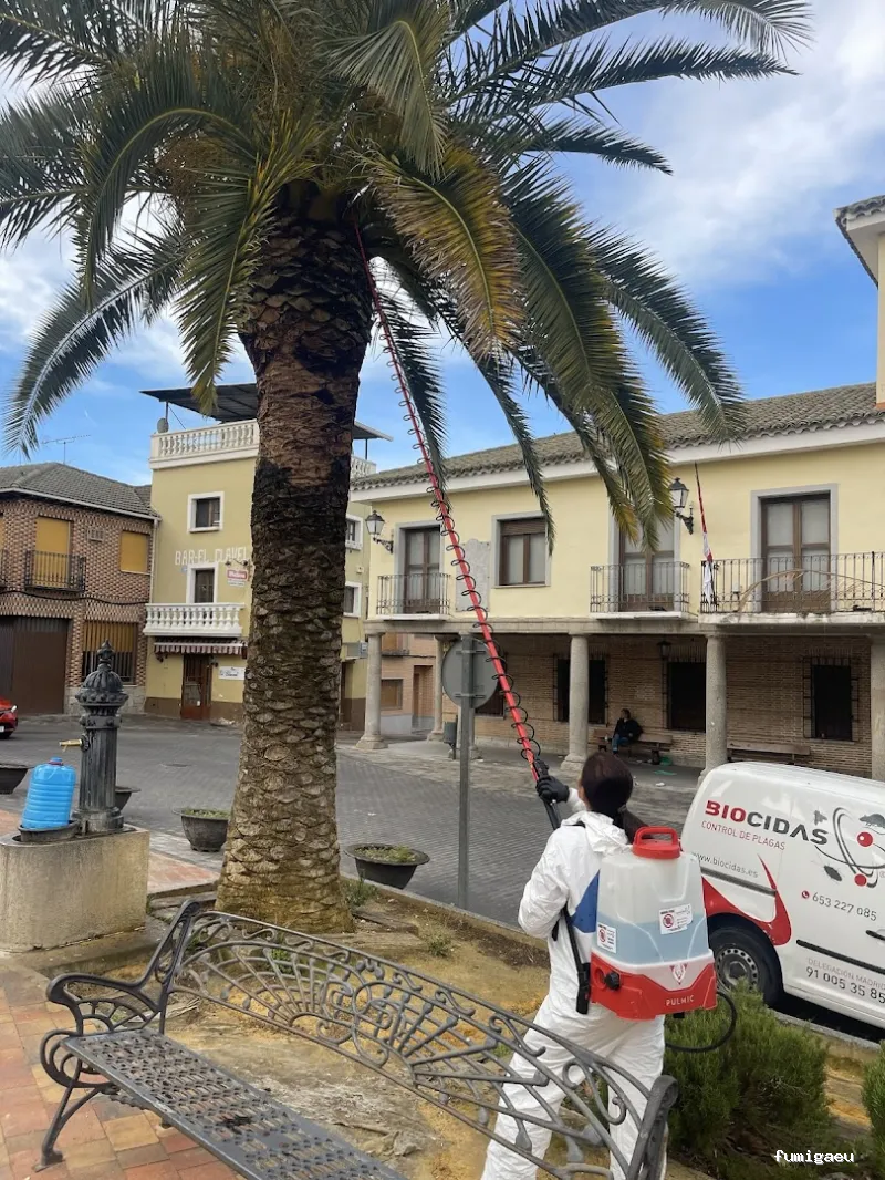 CONTROL DE PLAGAS MOSTOLES. DESINFECCIÓN, DESINSECTACIÓN, DESRATIZACIÓN.