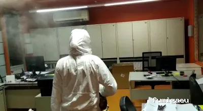 CONTROL DE PLAGAS MOSTOLES. DESINFECCIÓN, DESINSECTACIÓN, DESRATIZACIÓN.