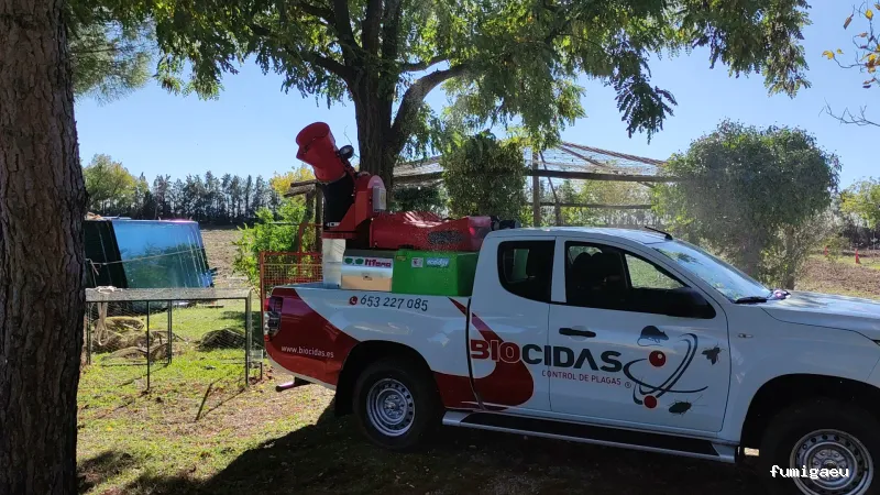 CONTROL DE PLAGAS MOSTOLES. DESINFECCIÓN, DESINSECTACIÓN, DESRATIZACIÓN.