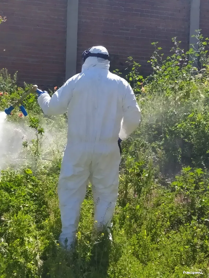 CONTROL DE PLAGAS MOSTOLES. DESINFECCIÓN, DESINSECTACIÓN, DESRATIZACIÓN.