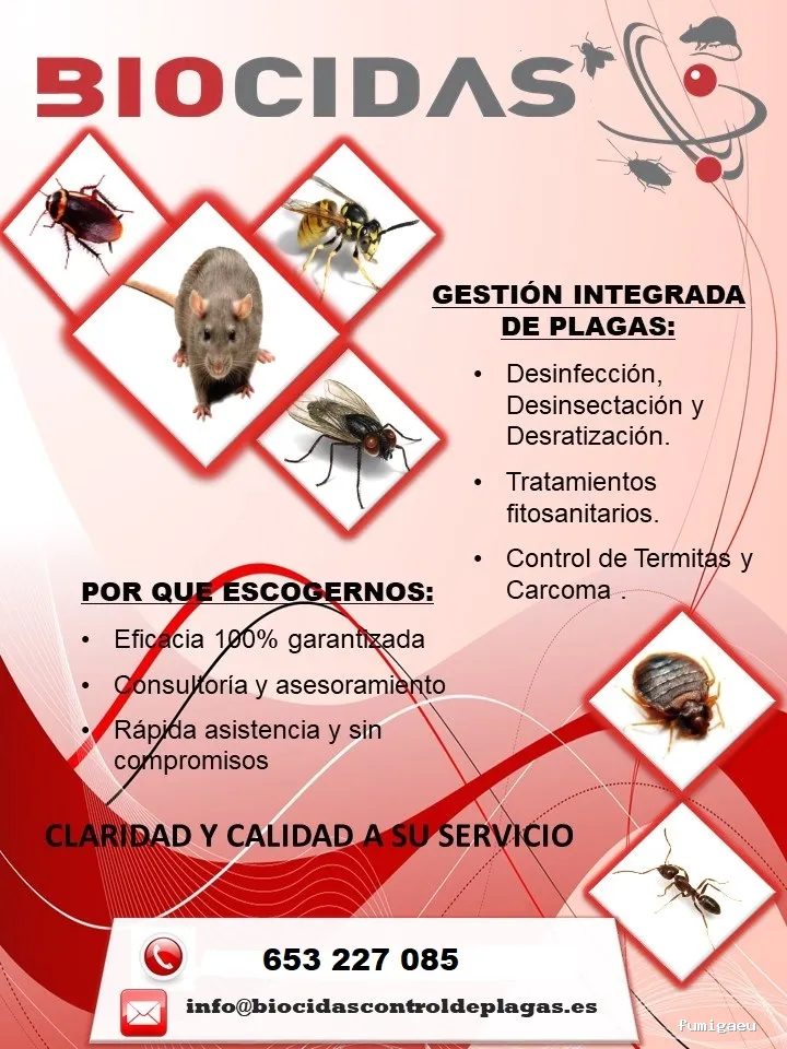 CONTROL DE PLAGAS MOSTOLES. DESINFECCIÓN, DESINSECTACIÓN, DESRATIZACIÓN.