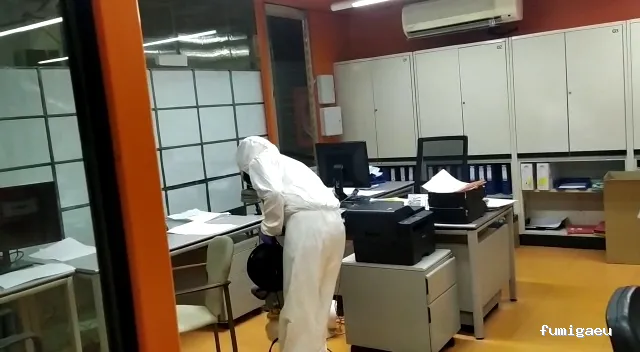 CONTROL DE PLAGAS MOSTOLES. DESINFECCIÓN, DESINSECTACIÓN, DESRATIZACIÓN.