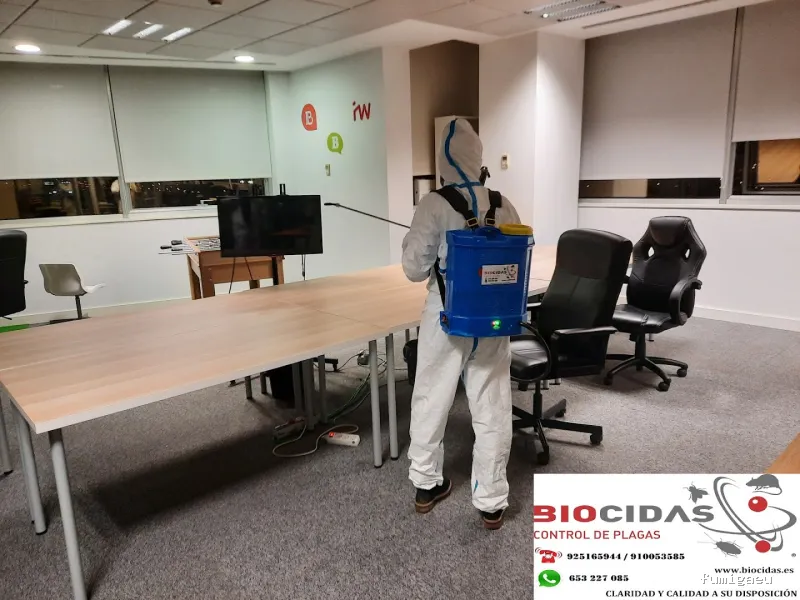 CONTROL DE PLAGAS MOSTOLES. DESINFECCIÓN, DESINSECTACIÓN, DESRATIZACIÓN.