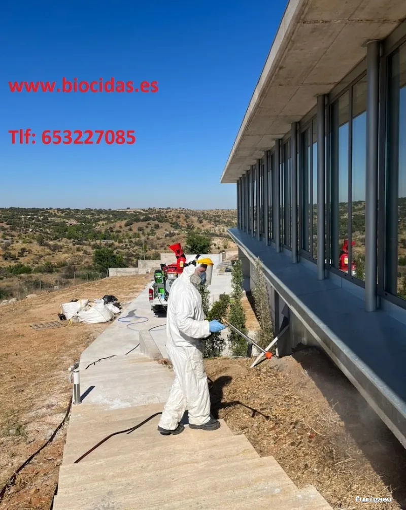 CONTROL DE PLAGAS MOSTOLES. DESINFECCIÓN, DESINSECTACIÓN, DESRATIZACIÓN.