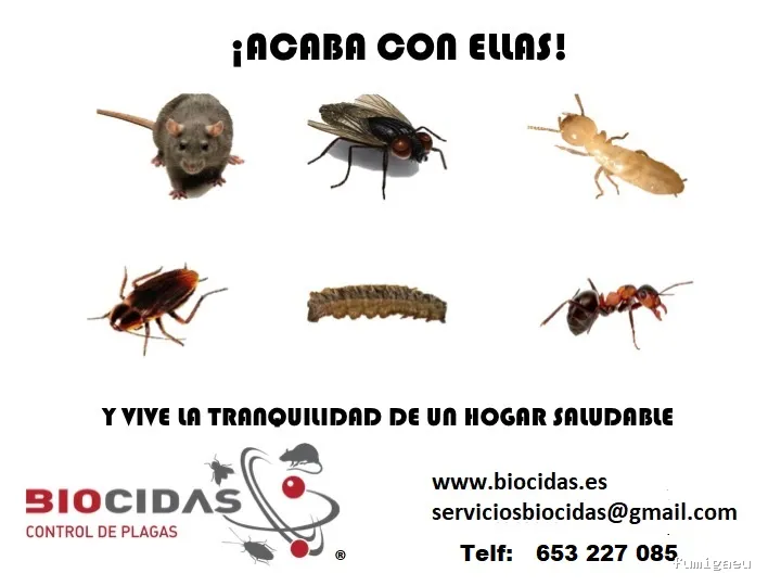 CONTROL DE PLAGAS MOSTOLES. DESINFECCIÓN, DESINSECTACIÓN, DESRATIZACIÓN.