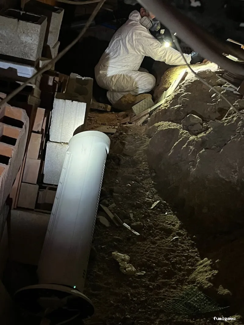 CONTROL DE PLAGAS MOSTOLES. DESINFECCIÓN, DESINSECTACIÓN, DESRATIZACIÓN.