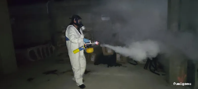 CONTROL DE PLAGAS MOSTOLES. DESINFECCIÓN, DESINSECTACIÓN, DESRATIZACIÓN.