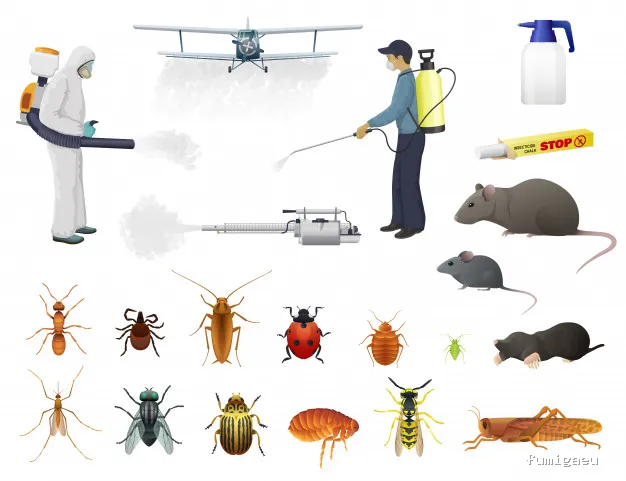 Serinco DDD (control de plagas )