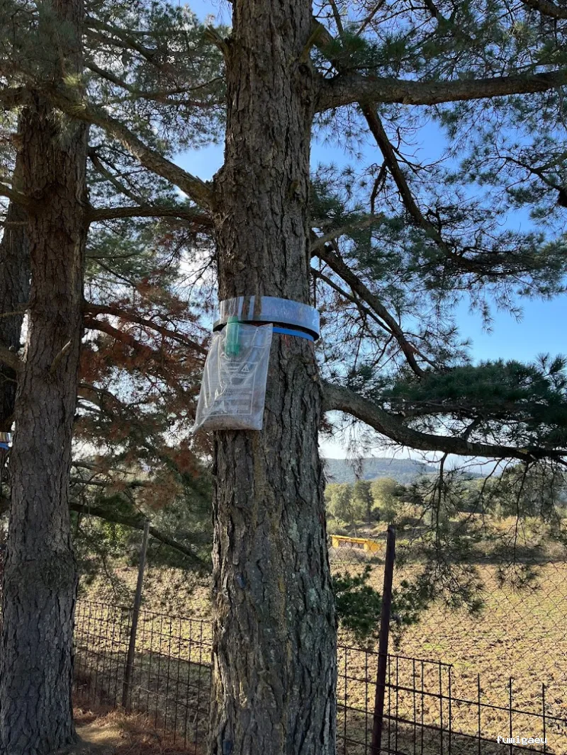 Zogna Control de Plagas