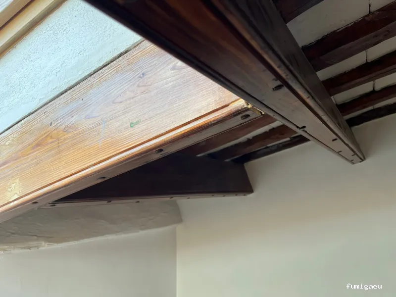 Zogna Control de Plagas