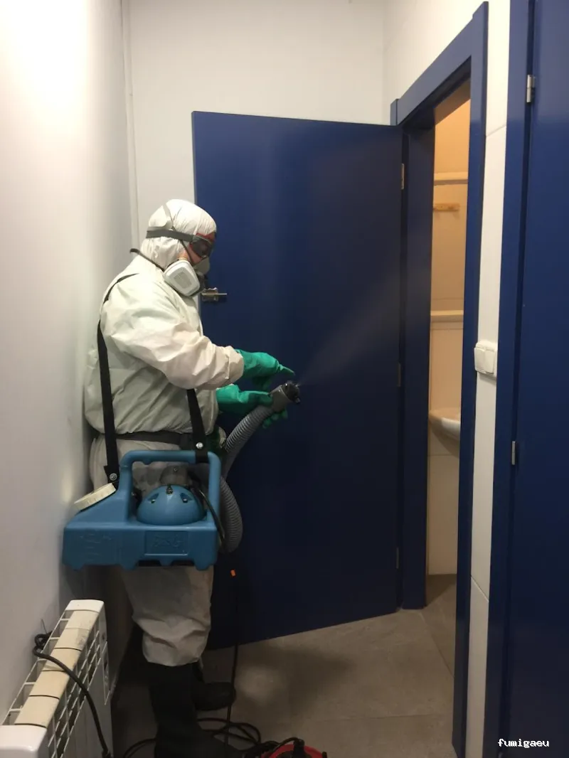 Desinfecciones Hormigas Verdes