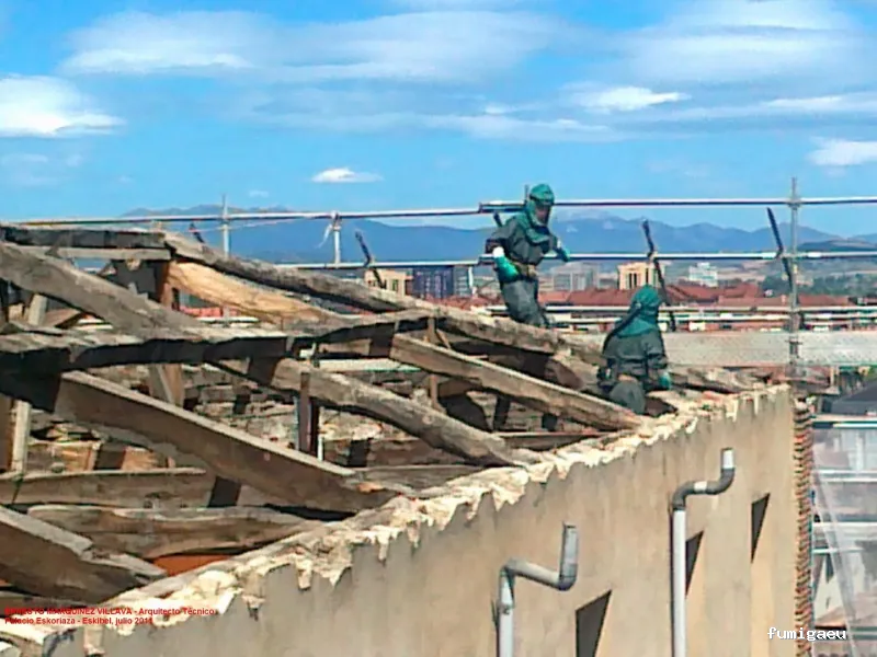 Desinfecciones Hormigas Verdes