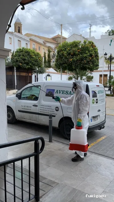 Avesan Sanidad Ambiental