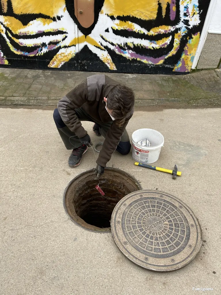 Avesan Sanidad Ambiental