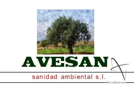 Avesan Sanidad Ambiental