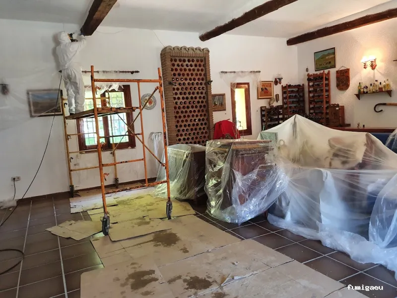 Control de Plagas Toledo, Desinfección, desinsectación, desratización.