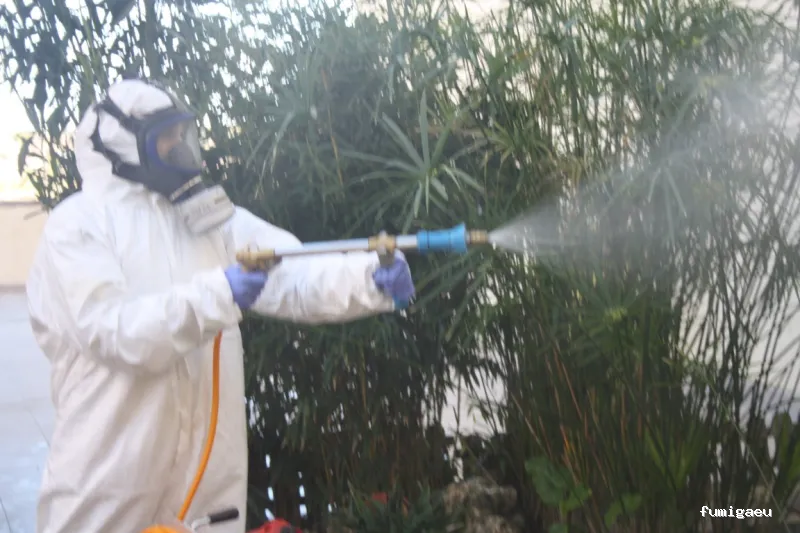 Control de Plagas Toledo, Desinfección, desinsectación, desratización.