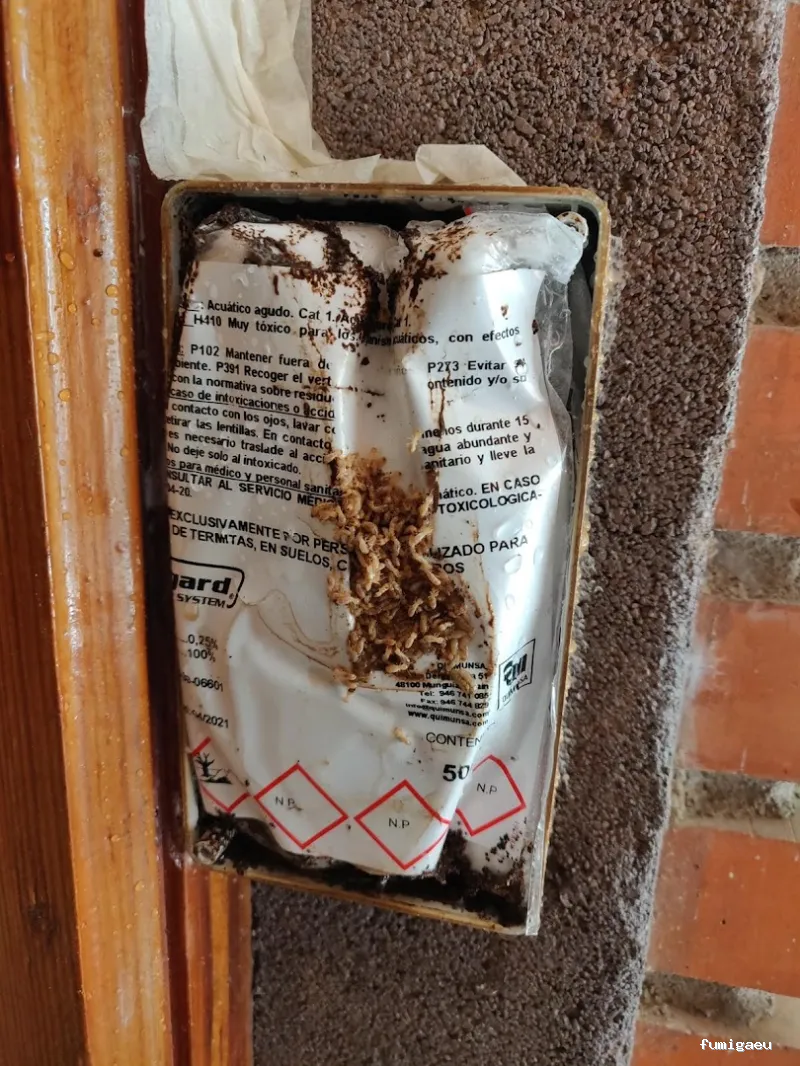 Control de Plagas Toledo, Desinfección, desinsectación, desratización.