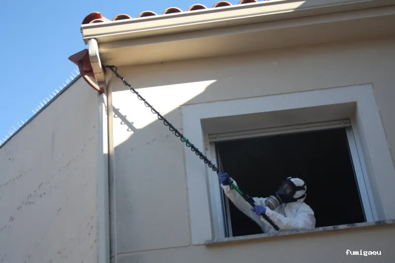 Control de Plagas Toledo, Desinfección, desinsectación, desratización.