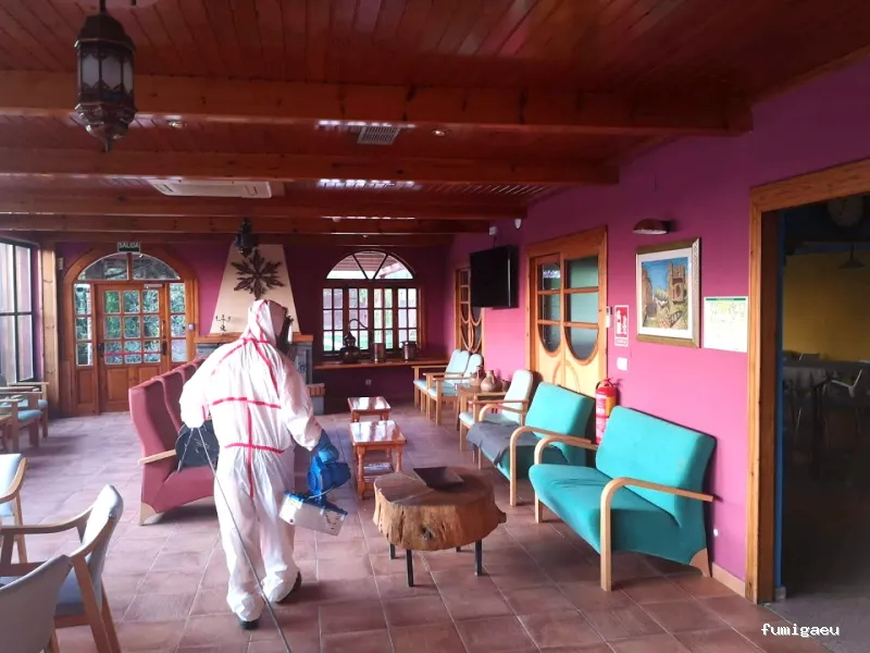 DESINFECCIONES AEROSOL - Control de Plagas y salud ambiental