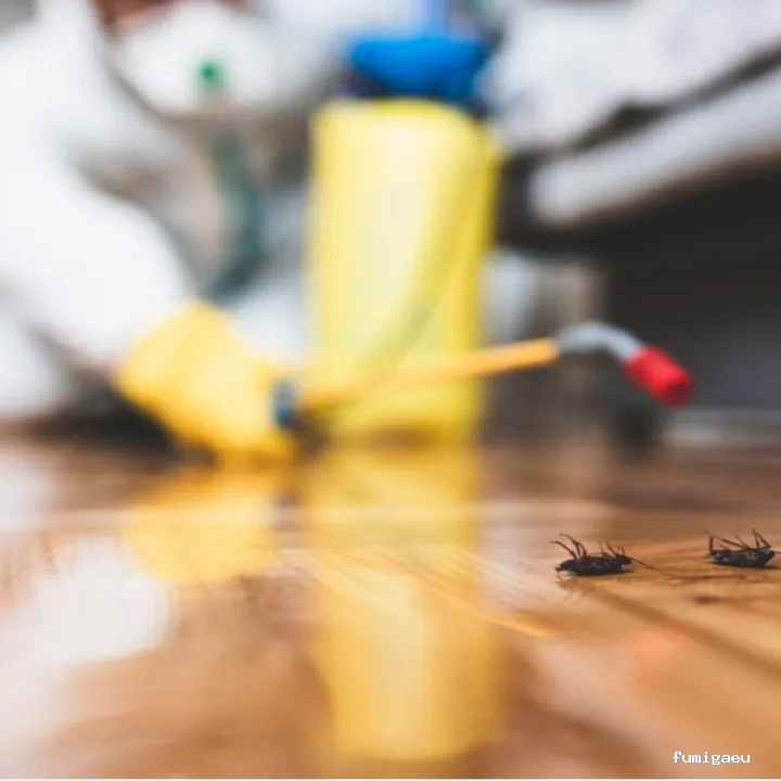 COPLABUR, Control de Plagas en Burgos