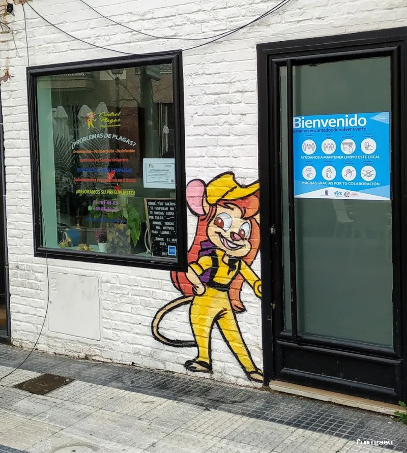 Control Plagas Majadahonda